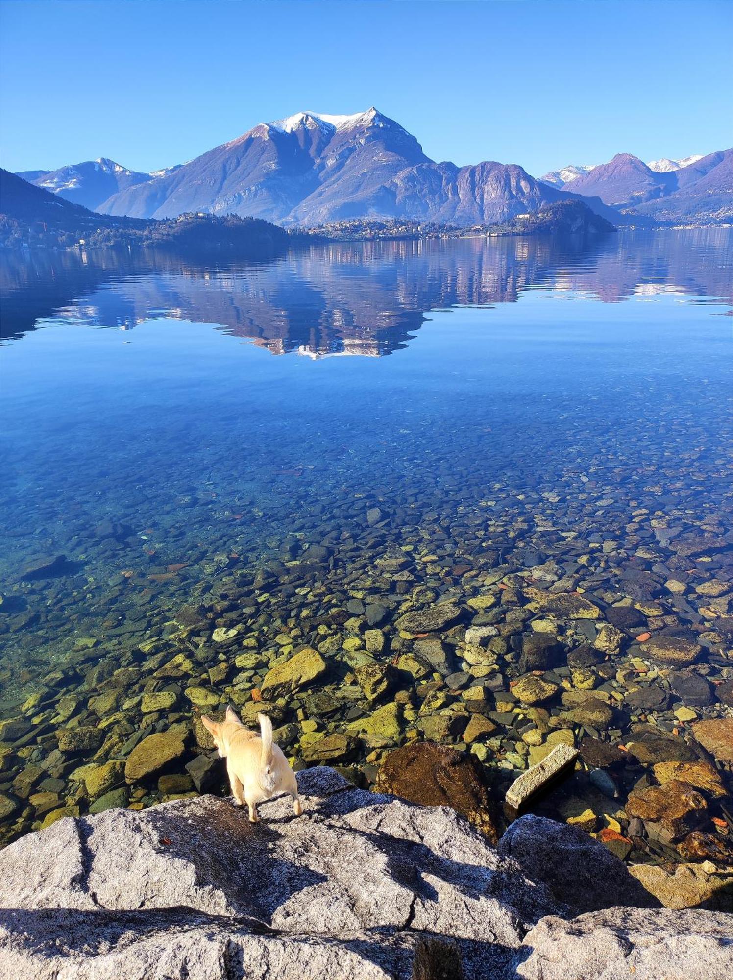 B&B Le Fate Del Lago Lierna Exteriér fotografie