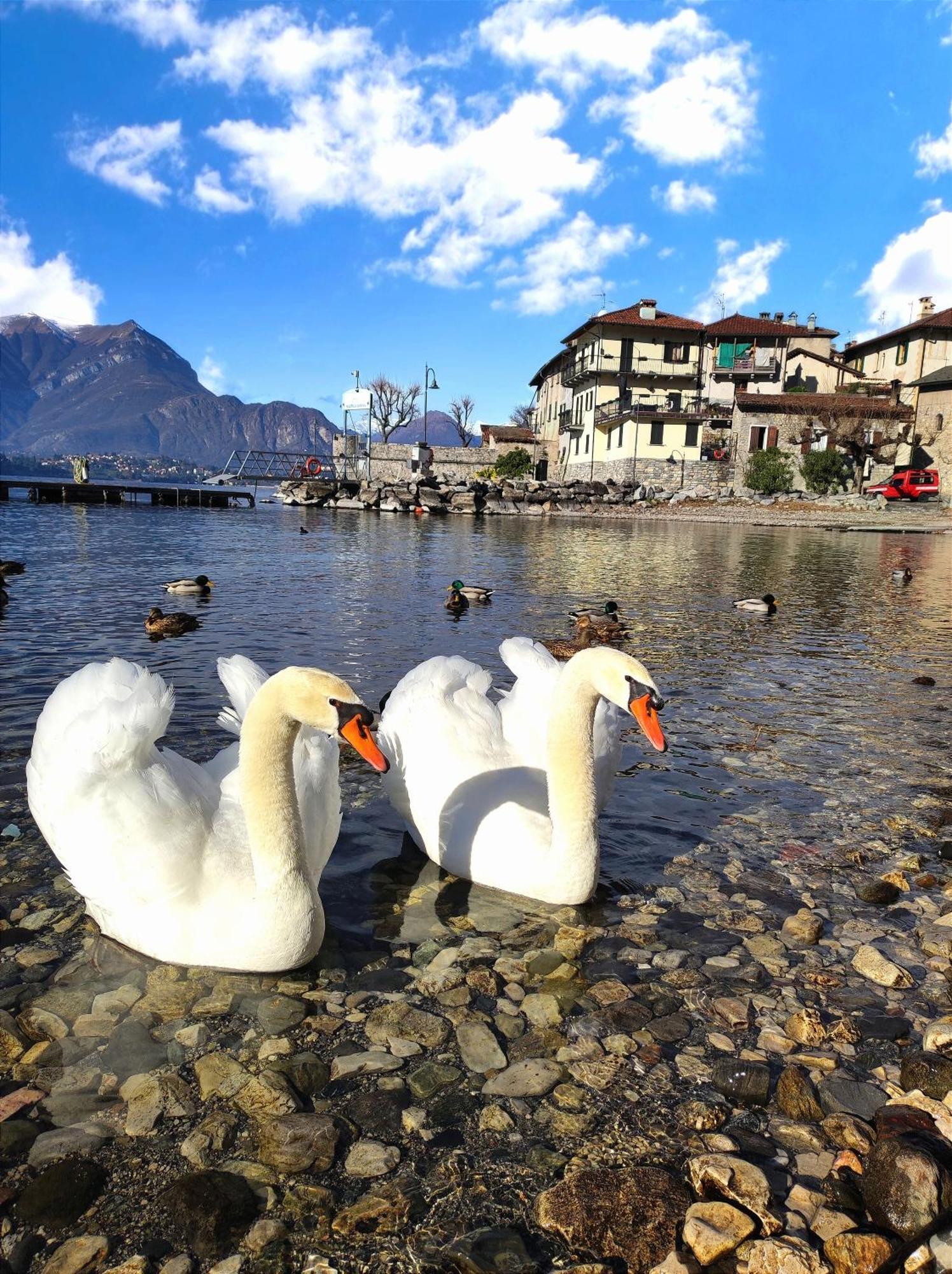 B&B Le Fate Del Lago Lierna Exteriér fotografie